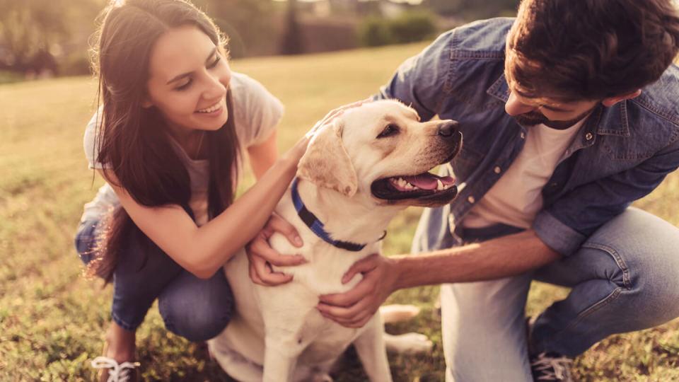 Young couple playing outdoors with their pet dog