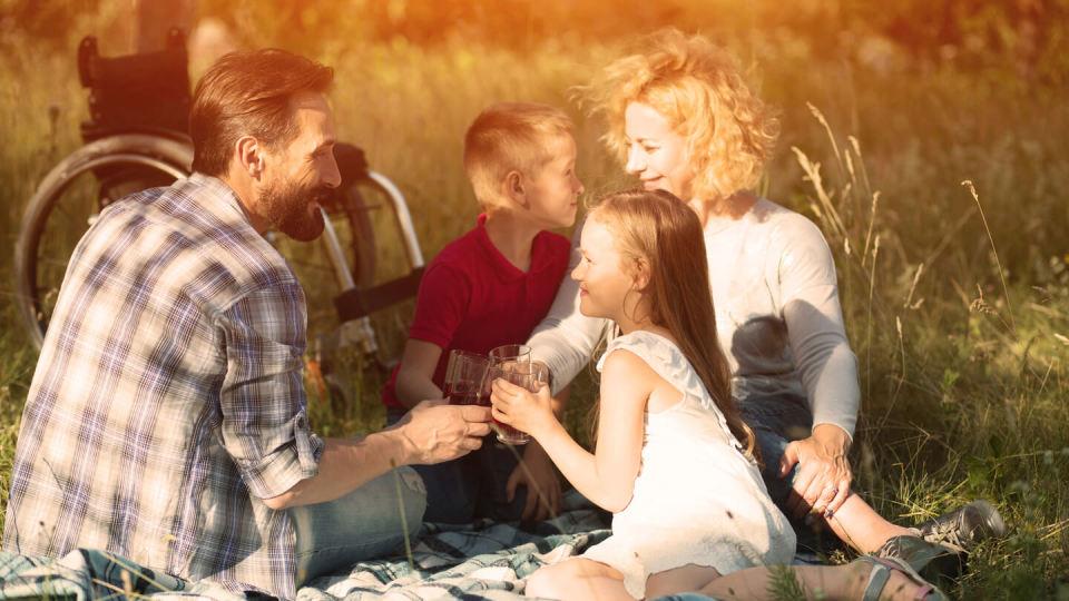 Family at picnic in the park. Wheelchair in the background